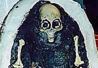 alien_Skelet__CHIHUAHUA